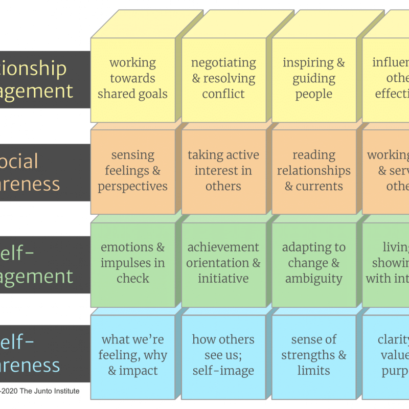 Junto Building Blocks of Emotional Awareness